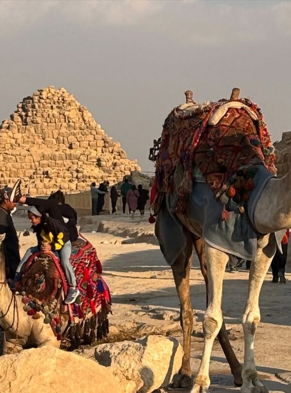 476000467 18488467792002941 6691775261661462563 n