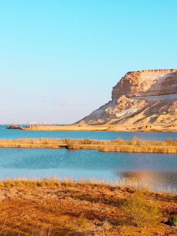 One-of-the-hills-in-the-wonderful-Siwa-Oasis (1)