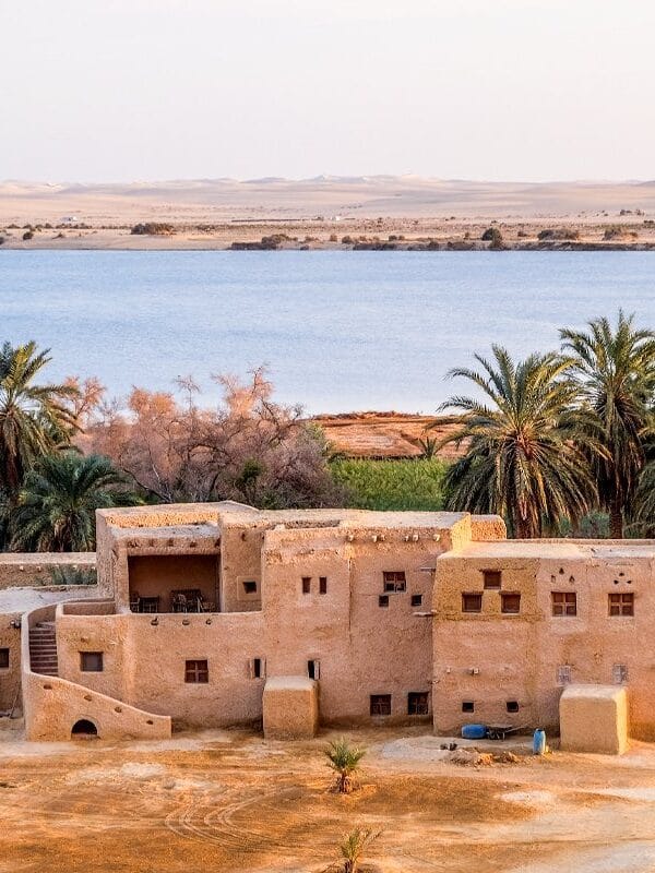 One-of-the-wonderful-houses-in-Siwa (1)