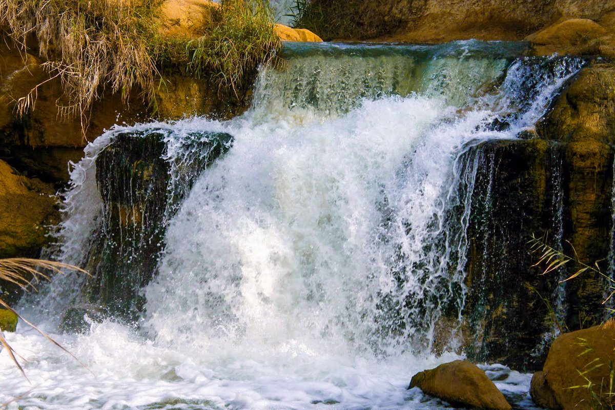 Fayoum Oasis