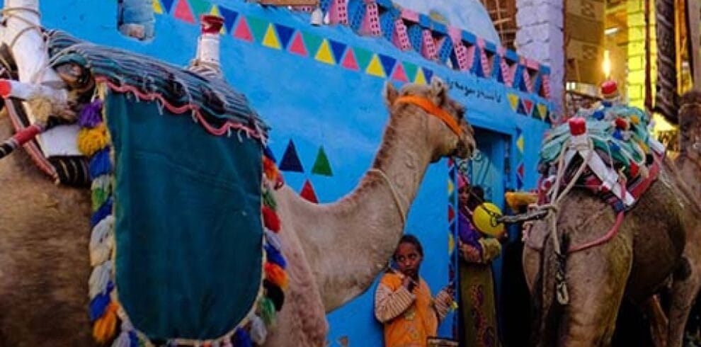 nubian village aswan 054 1024x1024 1