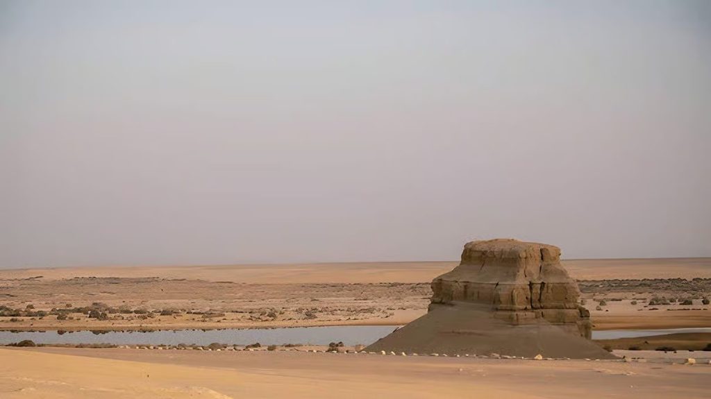 Fayoum Desert Safari: Wadi El Hitan, Magic Lake & Desert Experience 8 0989fbe9bca7e7731528fc42d042a2998ad4d7bfec03c3eab0369b6f3f84c584