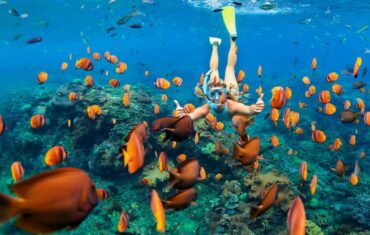 Ras Mohamed Egypt with Magic Lake, mangroves, desert landscapes and turquoise Red Sea waters near Sharm El Sheikh