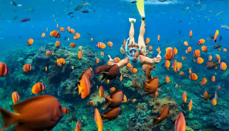 Ras Mohamed Egypt with Magic Lake, mangroves, desert landscapes and turquoise Red Sea waters near Sharm El Sheikh