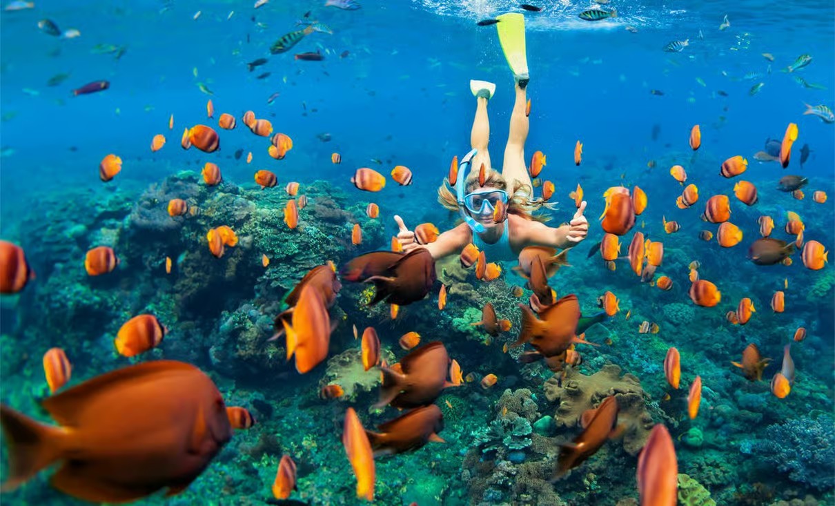 Ras Mohamed Egypt with Magic Lake, mangroves, desert landscapes and turquoise Red Sea waters near Sharm El Sheikh