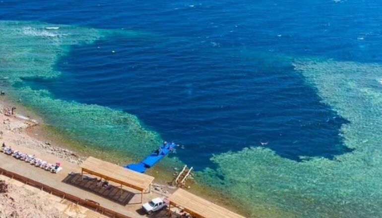 Sharm El Sheikh Red Sea diving experience with colorful coral reefs, clear water and beautiful marine life