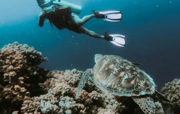 Sharm El Sheikh Red Sea with colorful coral reefs, clear blue water and beautiful marine life