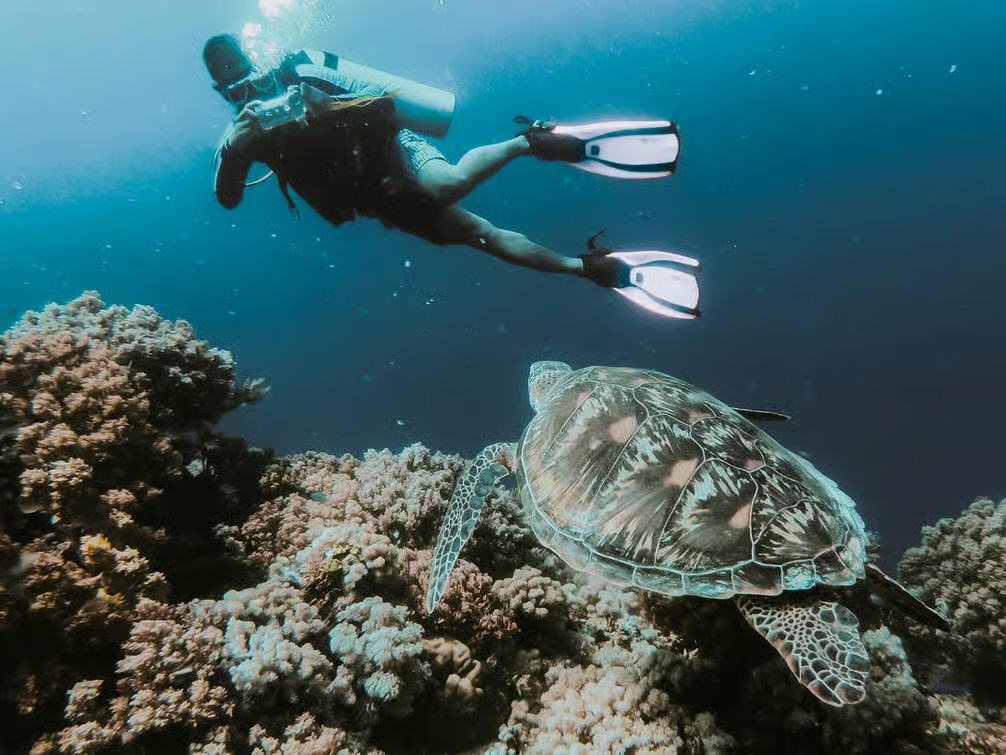 Sharm El Sheikh Red Sea with colorful coral reefs, clear blue water and beautiful marine life
