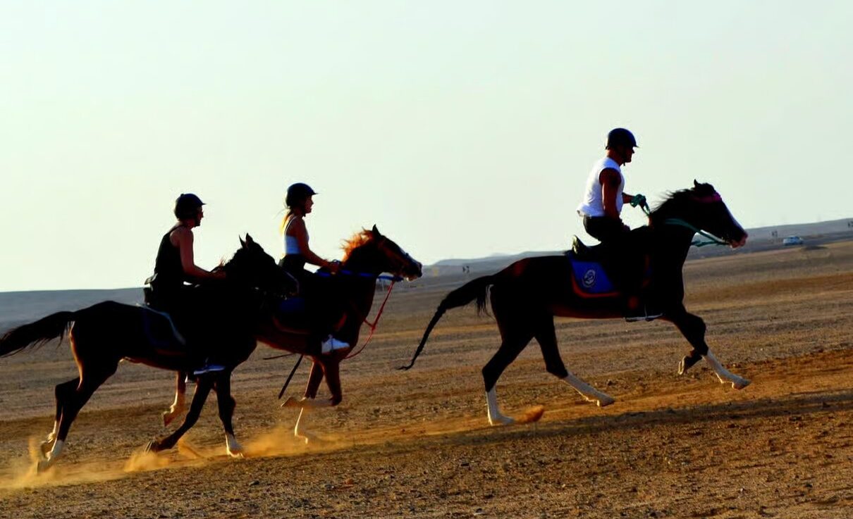 Hurghada horseback riding experience with Egyptian desert landscapes and beautiful Red Sea coastal scenery