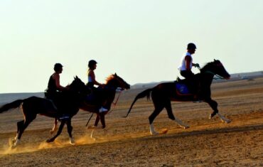 Hurghada Horseback Riding: Desert & Red Sea Experience 4 Hurghada horseback riding experience with Egyptian desert landscapes and beautiful Red Sea coastal scenery