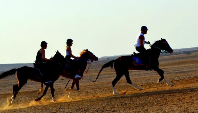 Hurghada horseback riding experience with Egyptian desert landscapes and beautiful Red Sea coastal scenery