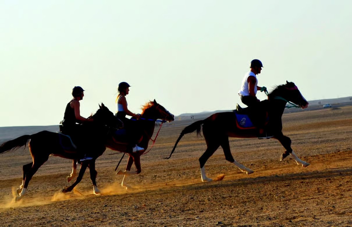 Hurghada horseback riding experience with Egyptian desert landscapes and beautiful Red Sea coastal scenery